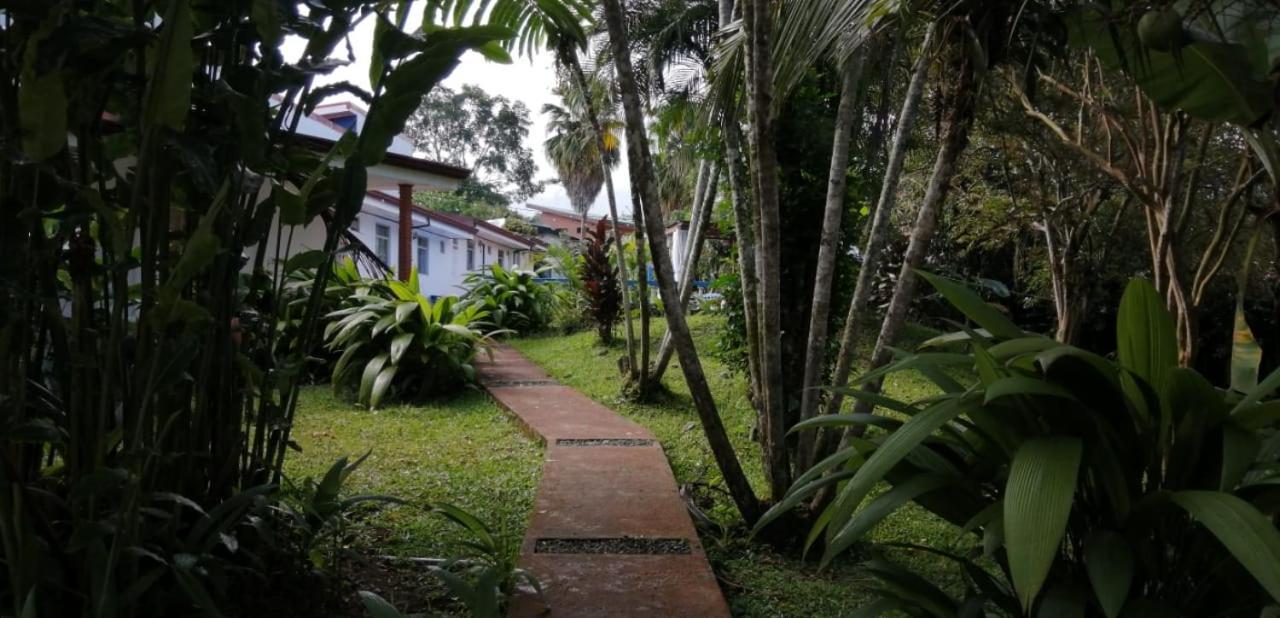 Geliwa B&B Turrialba Exterior foto